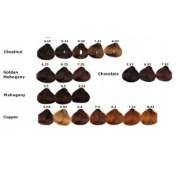 ALFAPARF farba Evolution Of The Color 60ml różne kolory